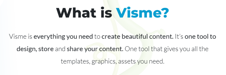 What is Visme Used For
